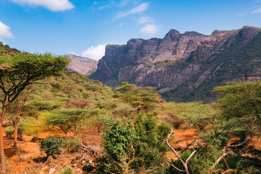 Ndoto Mountains（恩多托山脉）-非行家旅行-Africa Wild Wander
