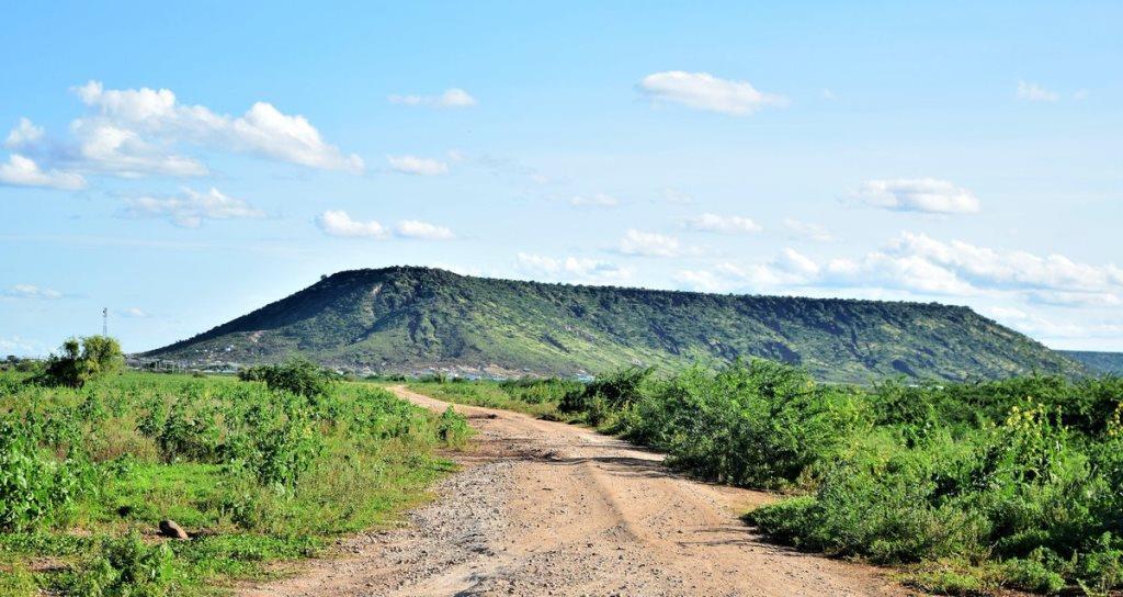 Merti Plains（县域目的地 / 专题资料）-非行家旅行-Africa Wild Wander