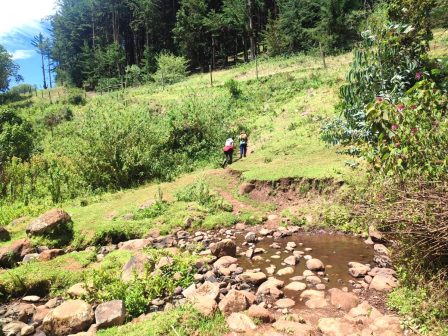 Kenungu Falls（瀑布 / 森林水系）-非行家旅行-Africa Wild Wander