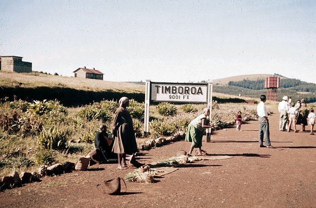 Timboroa Railway Station-非行家旅行-Africa Wild Wander