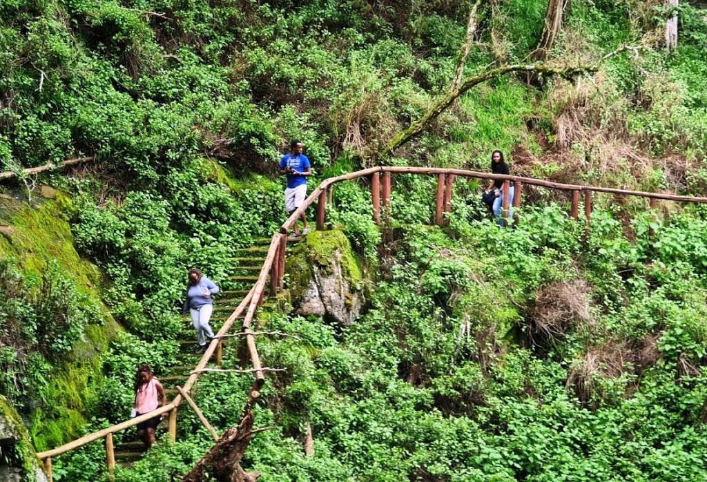 Kitum Cave（基图姆洞穴）-非行家旅行-Africa Wild Wander