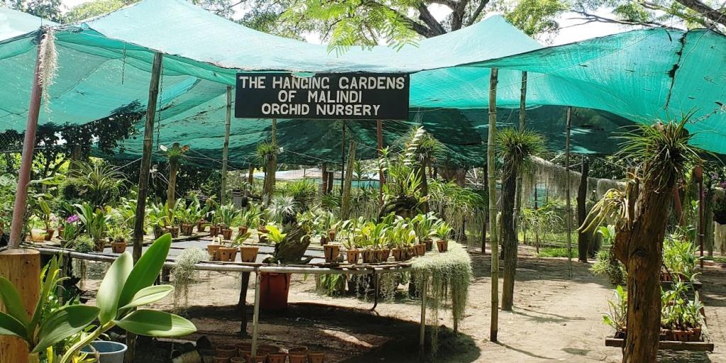 The Hanging Gardens（县域目的地 / 专题资料）-非行家旅行-Africa Wild Wander