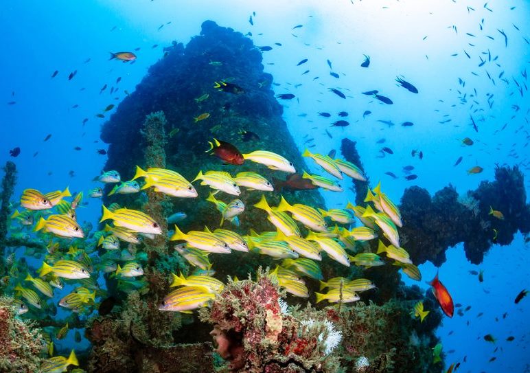 Funguo Wreck（县域目的地）-非行家旅行-Africa Wild Wander