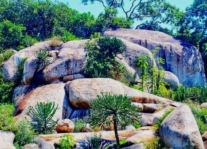 Mugabo Caves（水系 / 湖泊 / 海岸）-非行家旅行-Africa Wild Wander