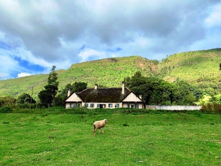 Buxton House（Happy Valley / 殖民遗产）-非行家旅行-Africa Wild Wander