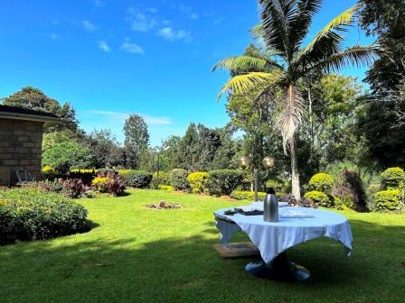 Gatura Greens Farm（加图拉紫茶农场）-非行家旅行-Africa Wild Wander