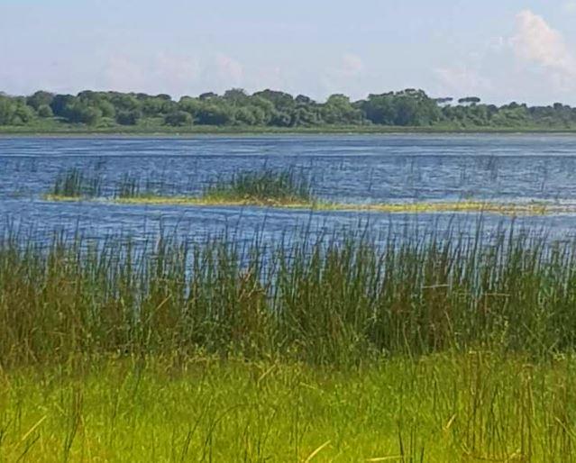 Lake Kenyatta（水系 / 红树林）-非行家旅行-Africa Wild Wander