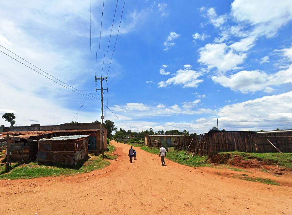 Kibiri Forest（基比里森林）-非行家旅行-Africa Wild Wander