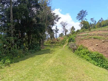 Vuria Hill（武里亚山）-非行家旅行-Africa Wild Wander