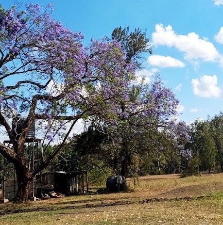 Makuyu Golf Club（公路景观 / 休闲设施）-非行家旅行-Africa Wild Wander