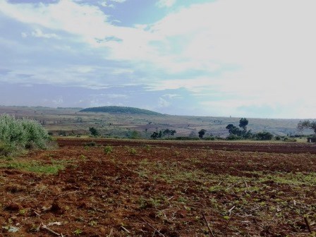 Trans-Mara Area（跨马拉区域）-非行家旅行-Africa Wild Wander