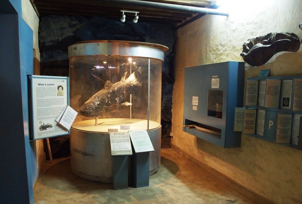 Malindi Museum（水系 / 湖泊 / 海岸）-非行家旅行-Africa Wild Wander