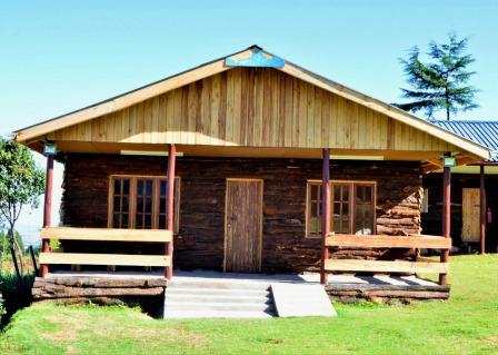 The Wonky House（住宿休闲 / 城市服务）-非行家旅行-Africa Wild Wander
