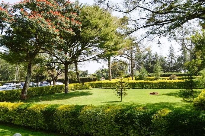 Golf Hotel（高尔夫酒店）-非行家旅行-Africa Wild Wander