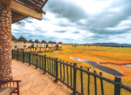 Sarova Salt Lick Lodge（萨罗瓦盐舔野生动物旅舍）-非行家旅行-Africa Wild Wander