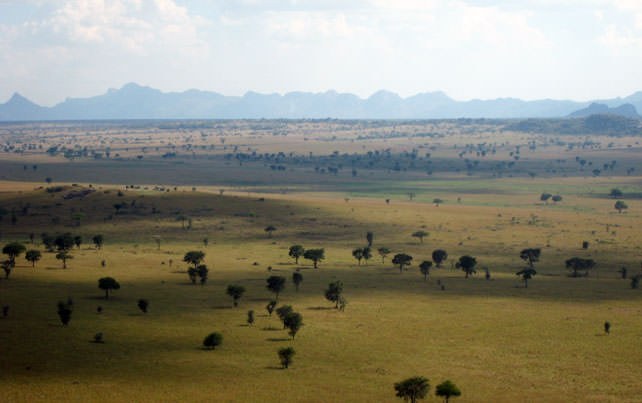 乌干达国家公园体系概览-非行家旅行-Africa Wild Wander
