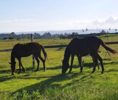 Samawati Conservancy（湖泊 / 水库 / 湿地）-非行家旅行-Africa Wild Wander