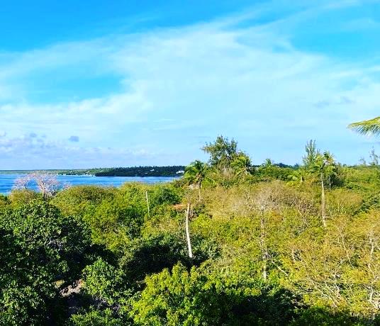 Uyombo Ruins（水系 / 湖泊 / 海岸）-非行家旅行-Africa Wild Wander