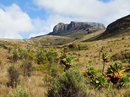 Bungoma County(邦戈马县)-非行家旅行-Africa Wild Wander