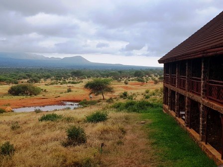 Kilaguni Safari Lodge（Tsavo West / 火山与泉水）-非行家旅行-Africa Wild Wander