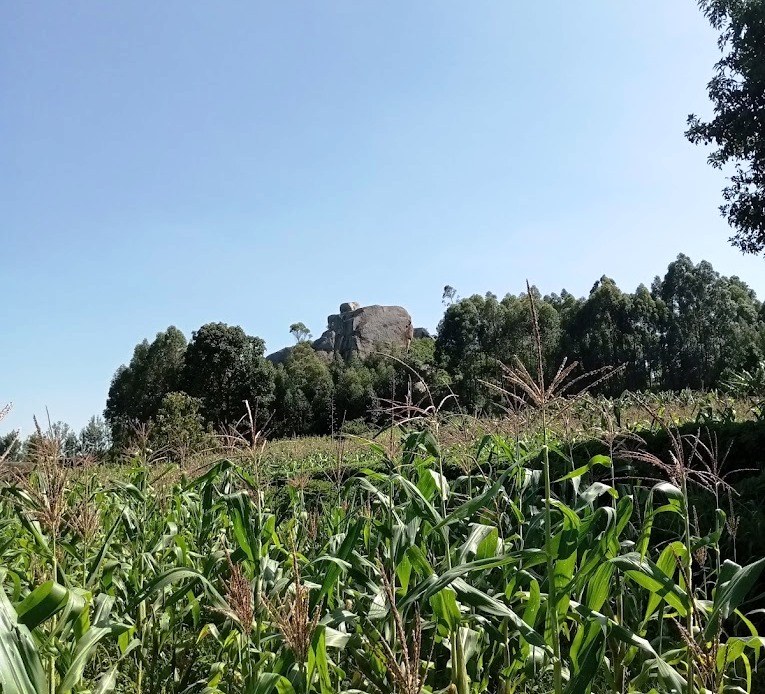 Chinato Crying Stone（奇纳托哭石）-非行家旅行-Africa Wild Wander