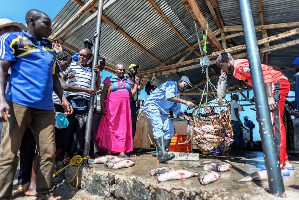 Migingo Island（米金戈岛）-非行家旅行-Africa Wild Wander