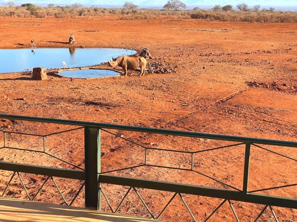 Ngulia Rhino Sanctuary（恩古利亚犀牛保护区）-非行家旅行-Africa Wild Wander