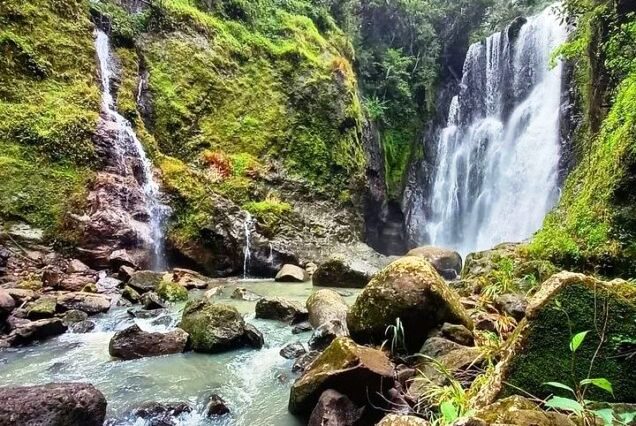 Ragia Falls（Aberdare 高山 / 徒步）-非行家旅行-Africa Wild Wander