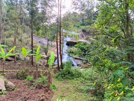Kilangarenyi Falls（Taita Hills / 高地文化）-非行家旅行-Africa Wild Wander