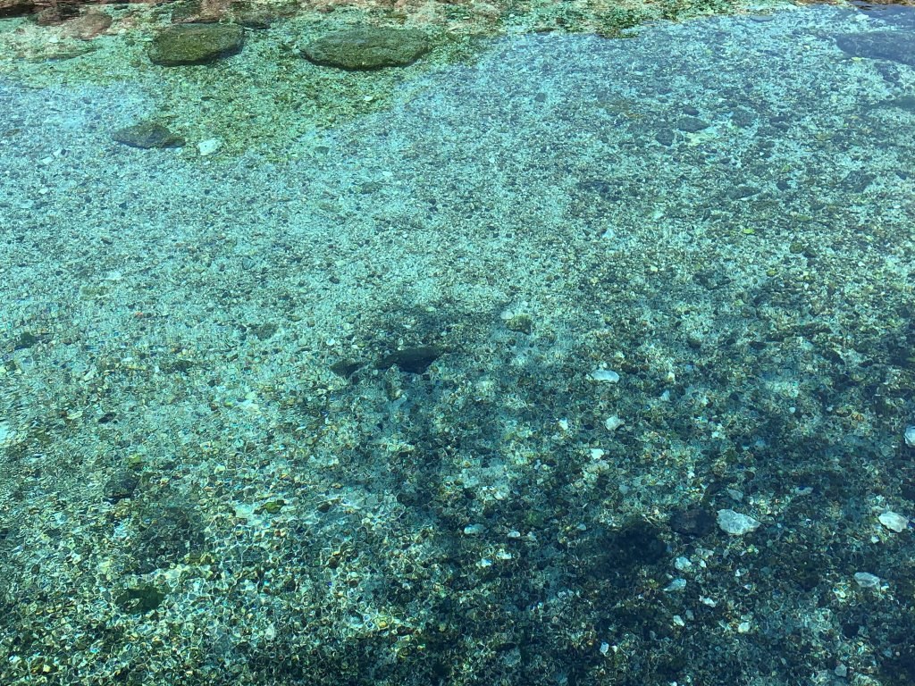 Buffalo Springs（水系 / 湖泊 / 海岸）-非行家旅行-Africa Wild Wander