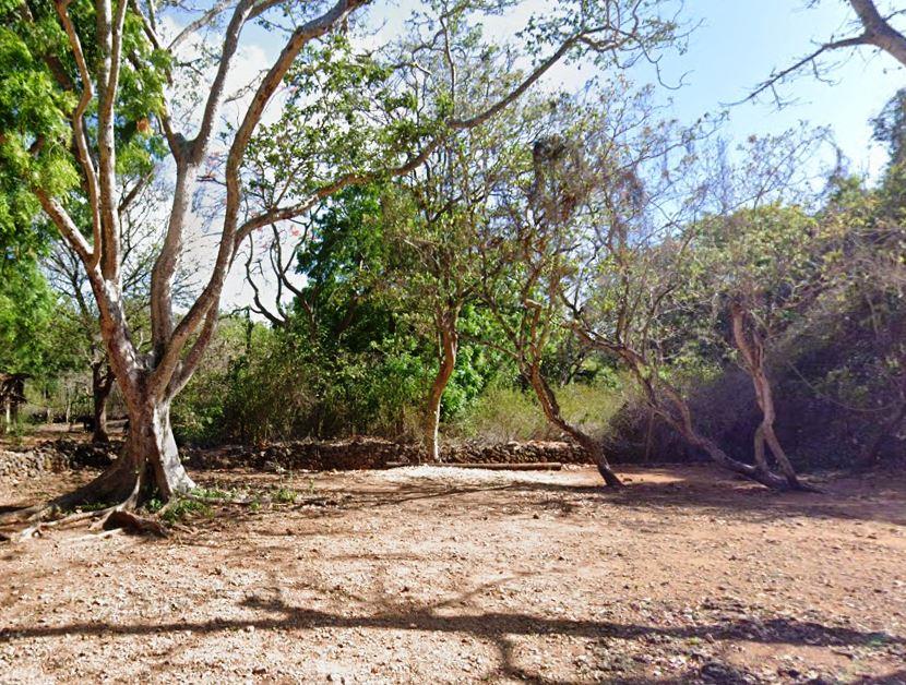 Jumba la Mtwana（水系 / 湖泊 / 海岸）-非行家旅行-Africa Wild Wander