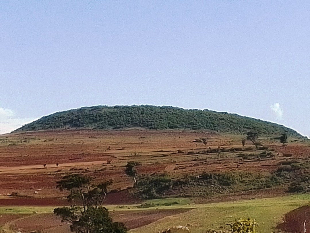 Trans-Mara Area（跨马拉区域）-非行家旅行-Africa Wild Wander