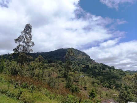 Vuria Hill（武里亚山）-非行家旅行-Africa Wild Wander