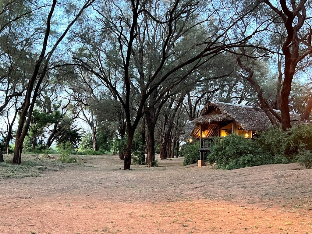 Samburu Intrepid Camp（Samburu-Buffalo-Shaba 保护区）-非行家旅行-Africa Wild Wander