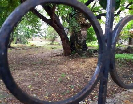 Mazrui Graveyard（历史遗产 / 博物馆）-非行家旅行-Africa Wild Wander