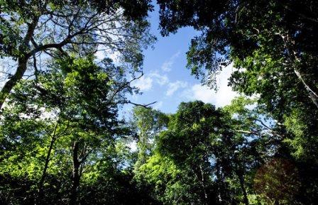 Forests in Kenya（水系 / 湖泊 / 海岸）-非行家旅行-Africa Wild Wander