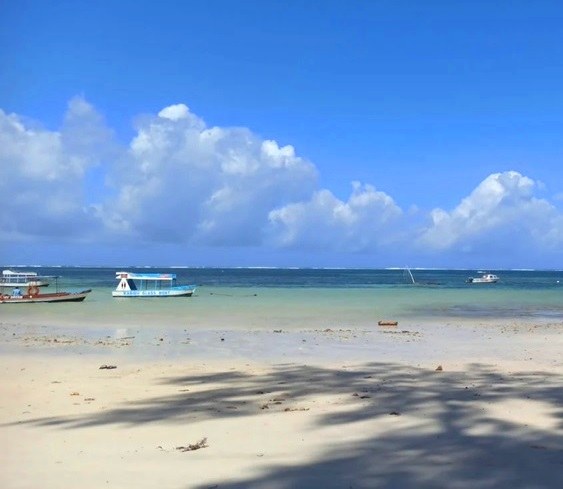 Mombasa Marine Park（蒙巴萨海洋公园）-非行家旅行-Africa Wild Wander