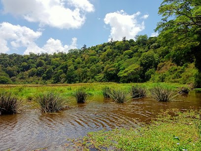 Lake Thai（地貌 / 瀑布 / 泉水）-非行家旅行-Africa Wild Wander