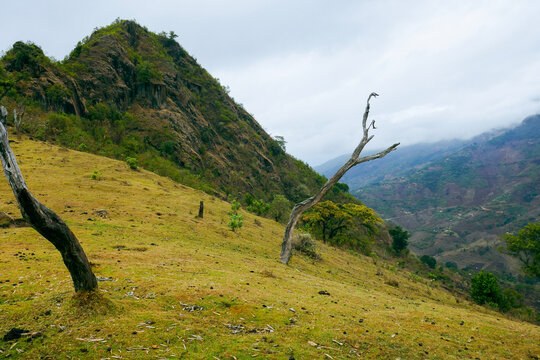 Sekerr Range（历史遗产 / 博物馆）-非行家旅行-Africa Wild Wander