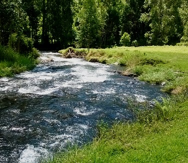 Ranges View Lodge（住宿休闲 / 周末营地）-非行家旅行-Africa Wild Wander