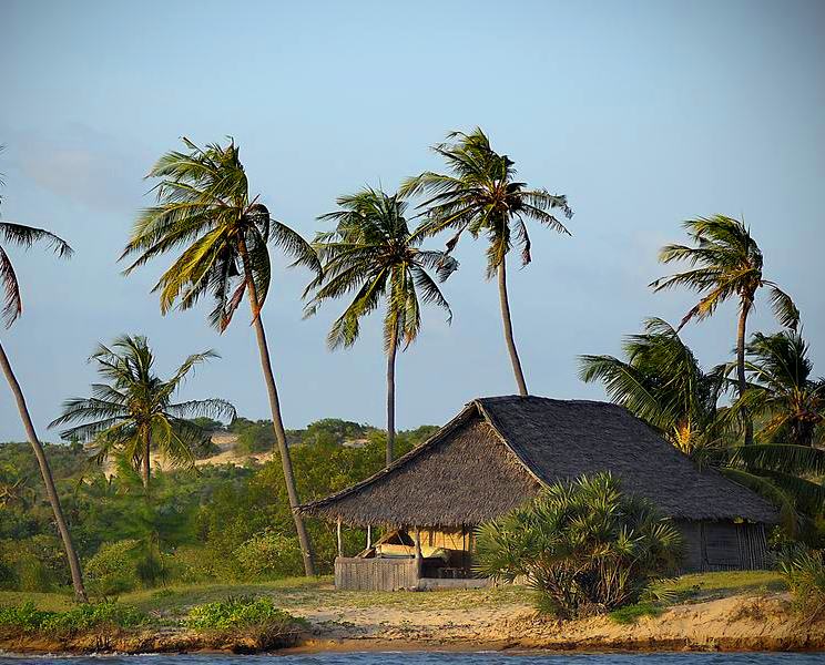 Kipungani Ruins（斯瓦希里遗产 / 博物馆）-非行家旅行-Africa Wild Wander