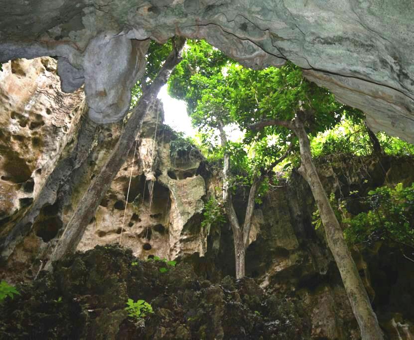 Panga ya Saidi Cave（水系 / 湖泊 / 海岸）-非行家旅行-Africa Wild Wander