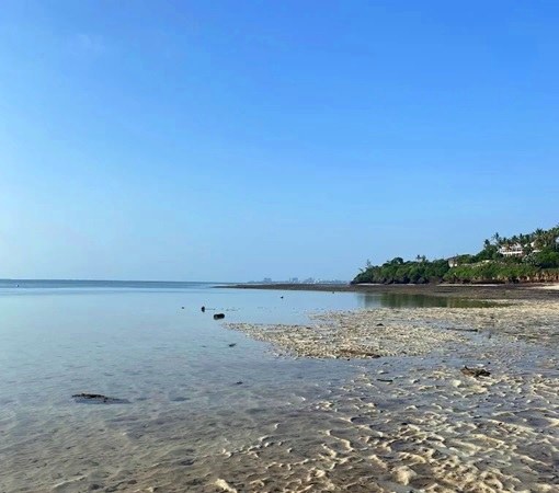 Mombasa Marine Park（蒙巴萨海洋公园）-非行家旅行-Africa Wild Wander