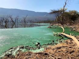 Lake Bogoria-非行家旅行-Africa Wild Wander