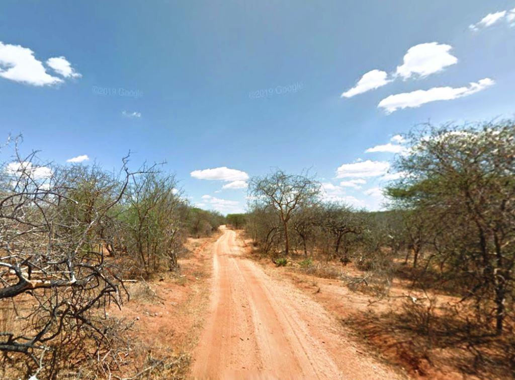 Mwingi National Reserve（姆温吉国家保护区）-非行家旅行-Africa Wild Wander
