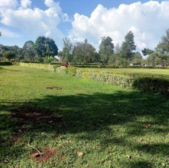 MMUST Botanical Garden（马辛德穆利罗大学植物园）-非行家旅行-Africa Wild Wander