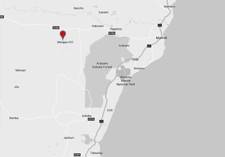 Mwangea Hill Forest（自然景观 / 徒步）-非行家旅行-Africa Wild Wander