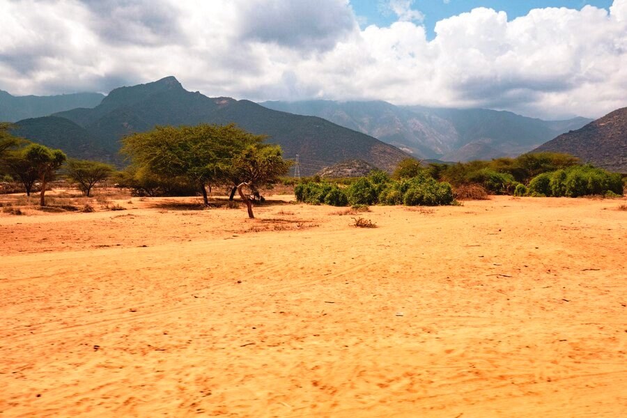 Ndoto Mountains（恩多托山脉）-非行家旅行-Africa Wild Wander