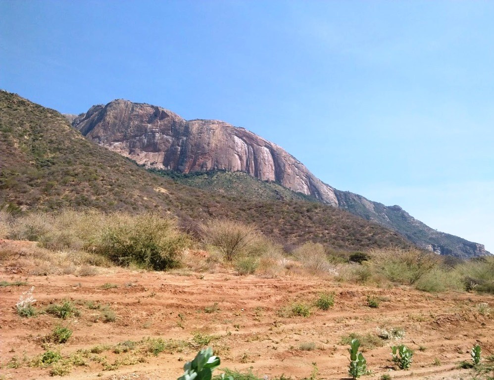 Ol Lentille Conservancy（自然景观 / 徒步）-非行家旅行-Africa Wild Wander