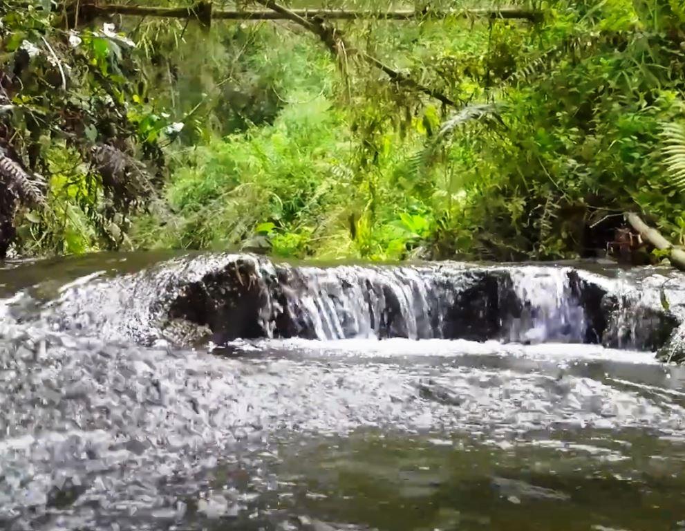 Manguyo Falls（河流 / 瀑布 / 水库）-非行家旅行-Africa Wild Wander